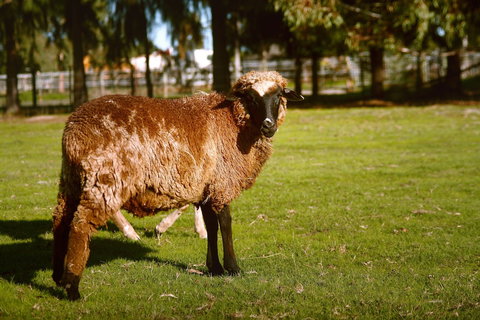 Enderslie House Bed & Breakfast - Geraldton Accommodation 0