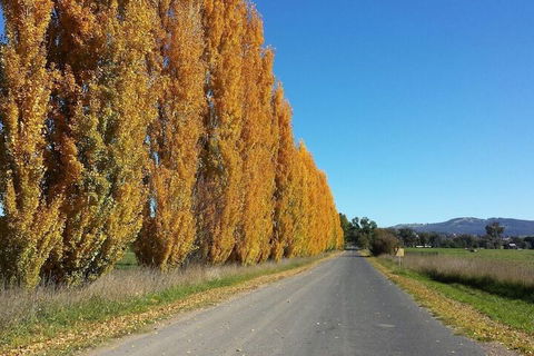 Harriet House Tumut - Geraldton Accommodation 1