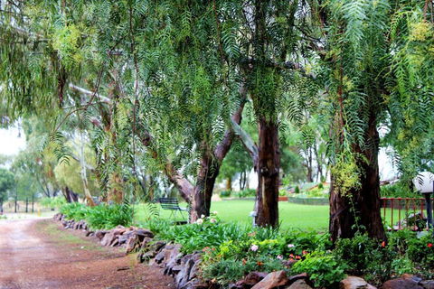 Outback Cellar & Country Cottage - Geraldton Accommodation 2