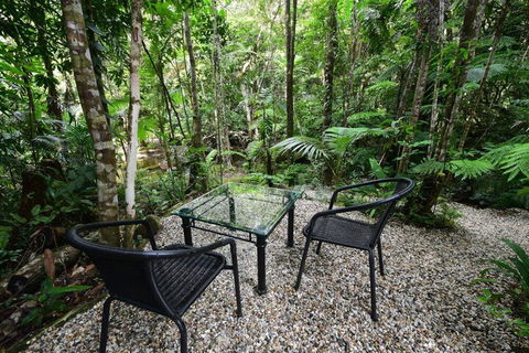 Daintree Cascades - Geraldton Accommodation 4