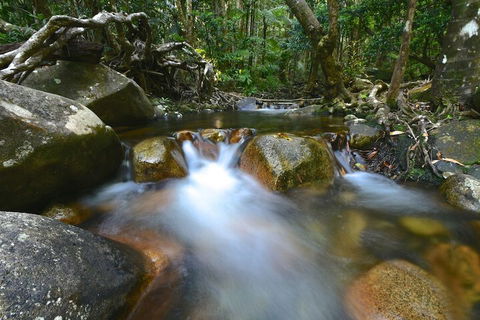 Daintree Cascades - Geraldton Accommodation 1