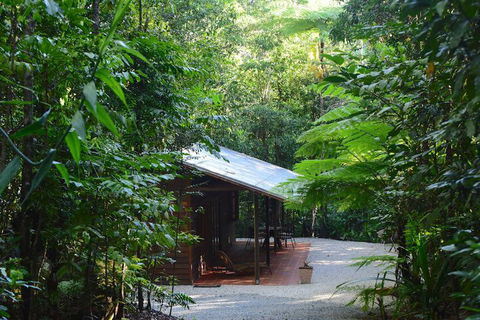 Daintree Cascades - Geraldton Accommodation 3