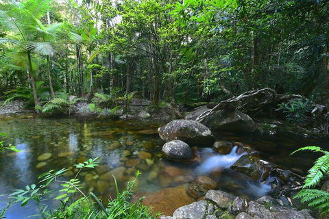 Daintree Cascades - Geraldton Accommodation 5