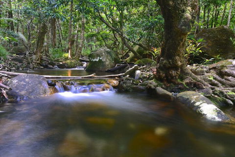 Daintree Cascades - Geraldton Accommodation 6