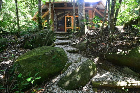 Daintree Cascades - Geraldton Accommodation 7