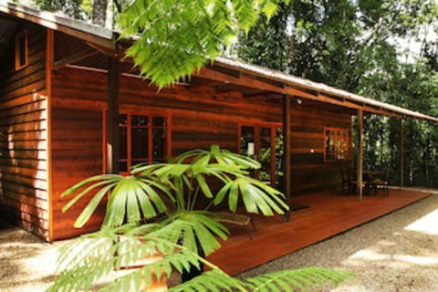 Daintree Cascades - Geraldton Accommodation 0