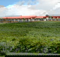 Turners Vineyard Motel and Function Centre - Geraldton Accommodation