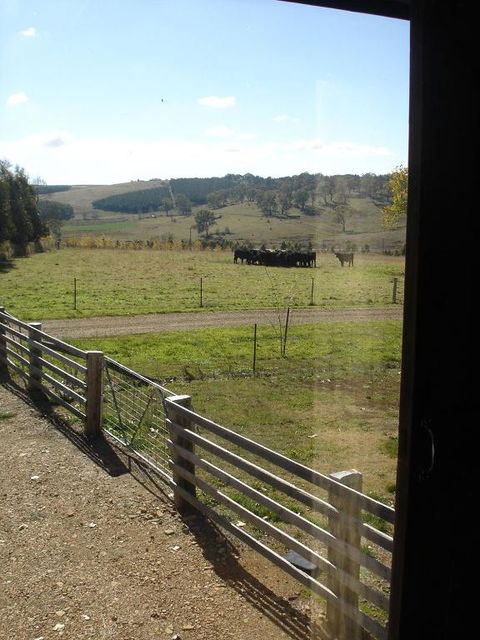 Black Sheep Inn - Geraldton Accommodation 3