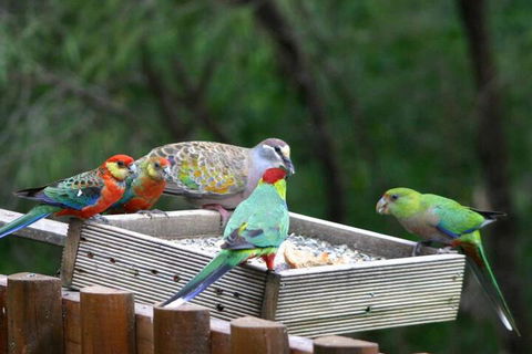 Honeymoon View - Geraldton Accommodation 5