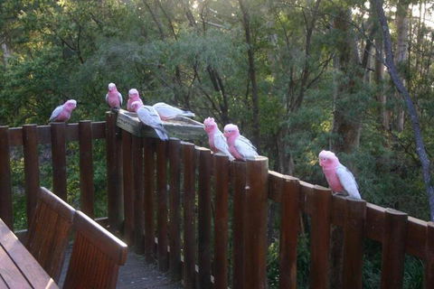 Honeymoon View - Geraldton Accommodation 3