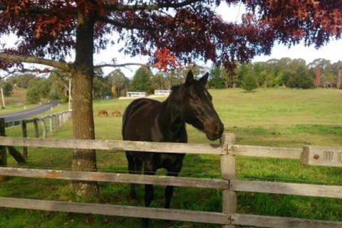 Towac Valley Cabins - Geraldton Accommodation 2