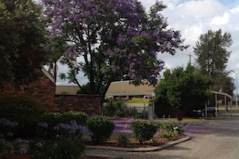 Belvoir Village Motel & Apartments Wodonga - Geraldton Accommodation 0