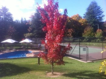 Chestnut Tree Holiday Apartments - Geraldton Accommodation 1