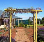 Lavendale Farmstay  Cottages York - Geraldton Accommodation