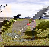 Taras Richmond Farmstay