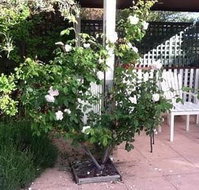 Ellesmere House - Geraldton Accommodation