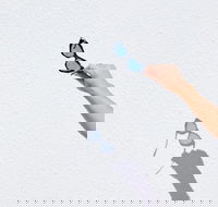 The Sails Motel Brunswick Heads - Geraldton Accommodation