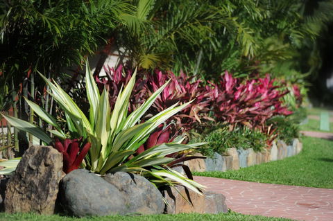 BIG4 Adventure Whitsunday Resort - Geraldton Accommodation 5