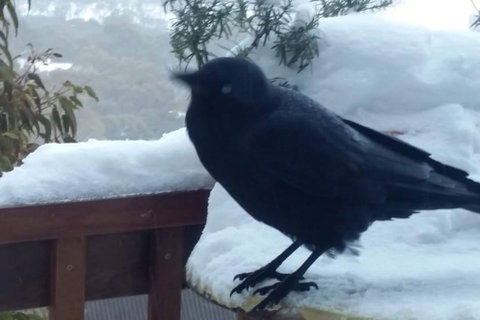 Aneeki Ski Lodge - Geraldton Accommodation 2