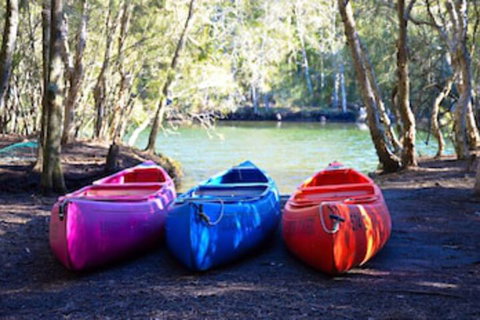 Jervis Bay Cabins & Hidden Creek Campsite - Geraldton Accommodation 0