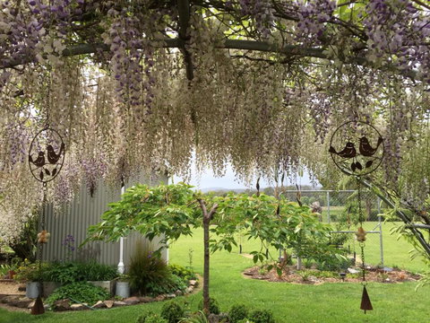 Duffys Country Accommodation - Geraldton Accommodation 3