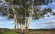 Duffys Country Accommodation - thumb 2
