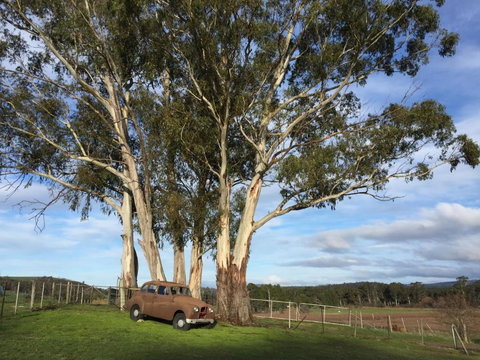 Duffys Country Accommodation - Geraldton Accommodation 2