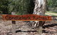Candlebark Retreat - thumb 6
