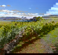 Riversdale Estate Cottages