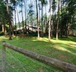 Fernglade on Menzies - Geraldton Accommodation