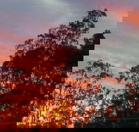 The York Heritage Hotel  Terraces - Geraldton Accommodation