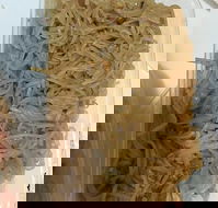 Quick Thai Restaurant - Geraldton Accommodation