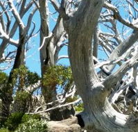 Alpine Eyre - Geraldton Accommodation