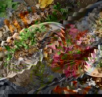 OlleyvilleShaw - Geraldton Accommodation