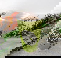 Bean Code - Geraldton Accommodation