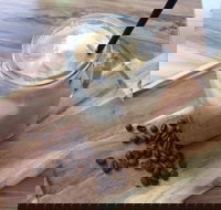 Allure Cafe  Co - Geraldton Accommodation