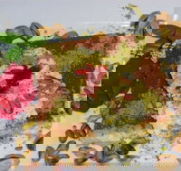 Sweet City - Geraldton Accommodation