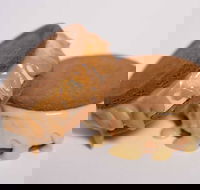 Gelato Messina - South Brisbane - Geraldton Accommodation