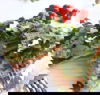 The Garden Tearooms  Cottage Nursery - Geraldton Accommodation