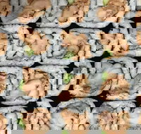 Sushi Pia - Geraldton Accommodation