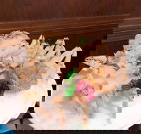 Immortal 8 Hong Kong Seafood Hot Pot - Geraldton Accommodation