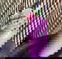 Jungle - Geraldton Accommodation