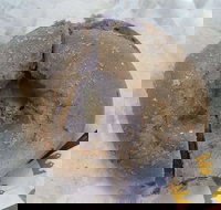 Romolo - Haymarket - Geraldton Accommodation