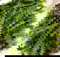 Bang Bang - Geraldton Accommodation