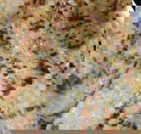 Indian Curry Cuisine - Geraldton Accommodation