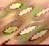 Monkey Bar - Geraldton Accommodation