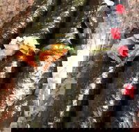 Sushi Mise - Geraldton Accommodation