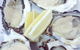 Kiwi Fish Shop - Rosebery - thumb 0