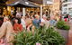 The Social At IPAC - thumb 0