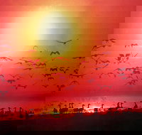 TINH and LAN Vietnamese Restaurant - Geraldton Accommodation